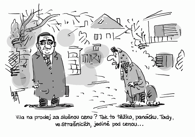 Kemel vila 1