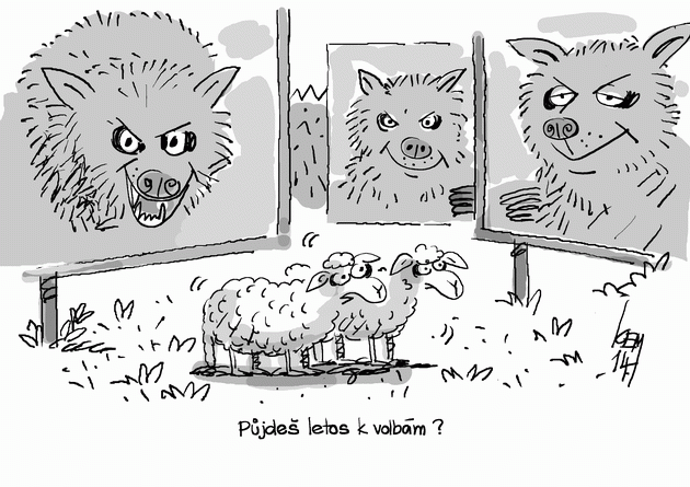 Pjde letos k volbm?