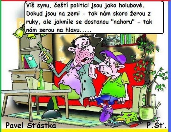 Politici - holubi