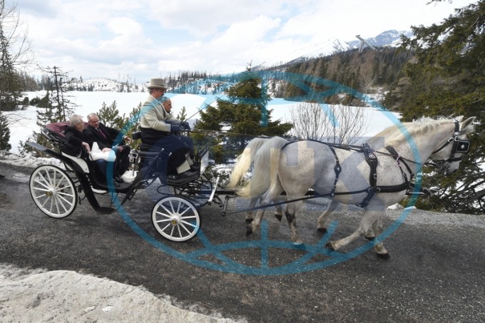 Zeman Kiska trbsk pleso